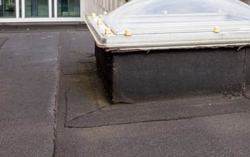 disadvantages of Hampton Loade flat roofs