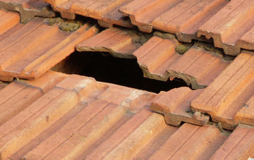 roof repair Hampton Loade, Shropshire